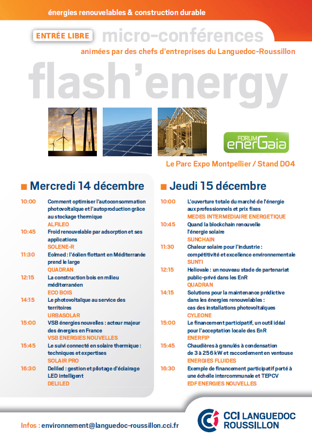 DELILED Micro-conférence Flash'Energy